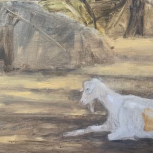 A Snooze in the Shade