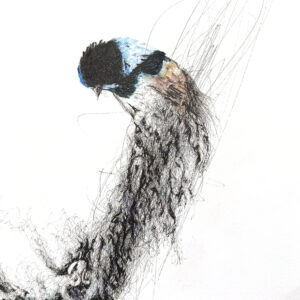 Smt...Blue Fairy Emergence