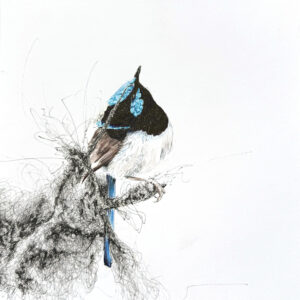 Smt...Blue Fairy Pop