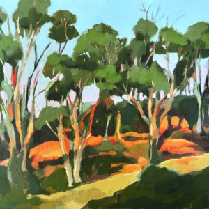 Kaleidoscope Of Colour