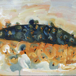 Harcourt Arcadia Study 3