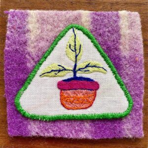 Seedling