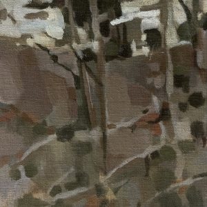Hillside (II), Vaughan Springs