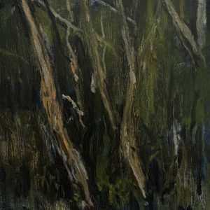 Ti Tree Evening Light, Powlett River