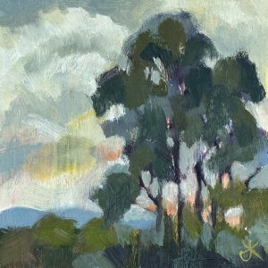 Evening Sky Detail