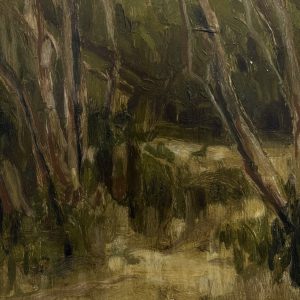 Ti Tree Path, Powlett River