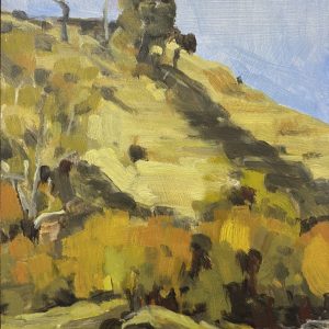 Loddon River Hillside