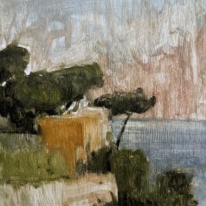 Tree Outcrop, Capri