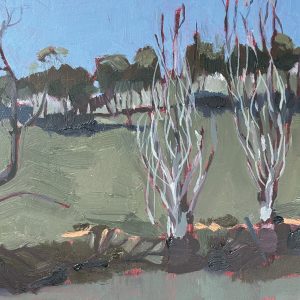 Green Gully Newstead