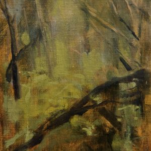 Ti Tree Fallen Branch, Powlett River