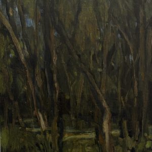 Ti Tree Afternoon, Powlett River