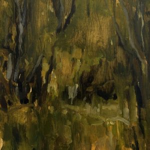 Ti Tree Undergrowth (II), Powlett River