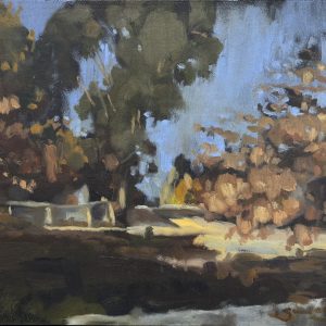 Station Street Taradale