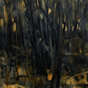 Ti Tree Scrub, Powlett River