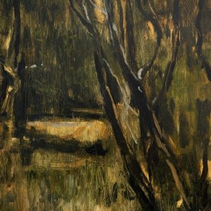 Ti Tree Sun Spot, Powlett River