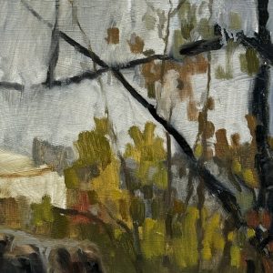 Mt. Alexander Trees (post bushfire)