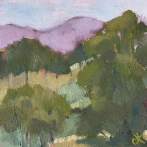Blackhill Road Kyneton Detail