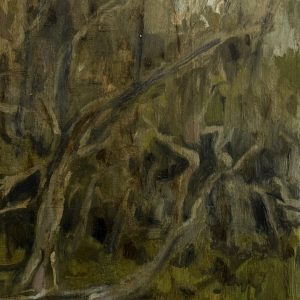 Ti Tree Dancing, Powlett River