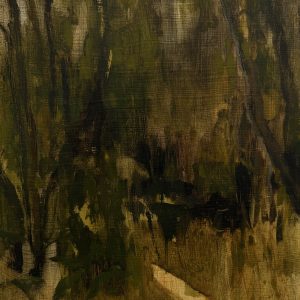 Ti Tree Undergrowth (I), Powlett River