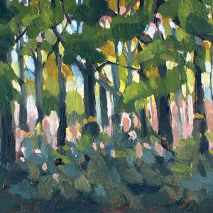 Oak Forest Harcourt