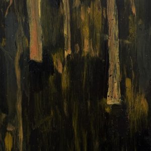 Ti Tree Moonlight (II), Powlett River