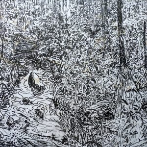Big Bush Drawing - Sherbrooke
