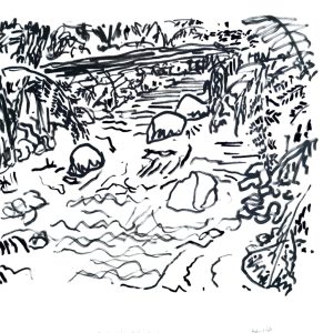 Main Creek Near Baldrys Crossing