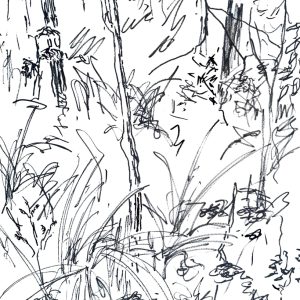 Black Hill - Kyneton Paint Marker