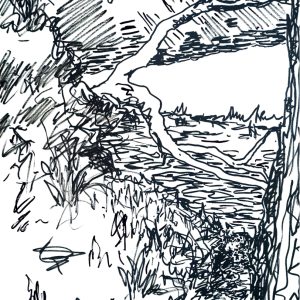 Billabong - Coliban River