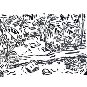 Near Sherbrooke Falls
