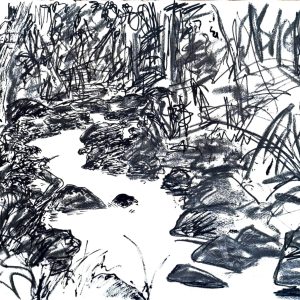 Main Creek - Towards Dusk