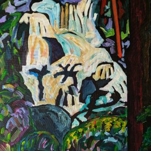 Falls and Ferns - Toorongo Falls