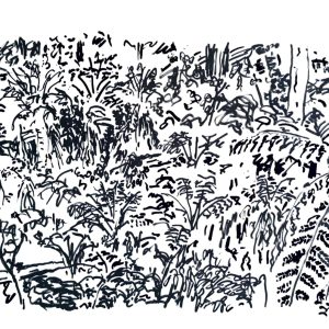 Forest Hillside - Sherbrooke