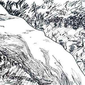 Trunk - Malmsbury Common