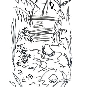 Sassafras Creek