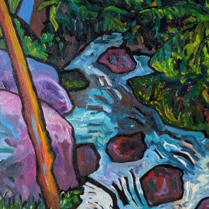 Holt Toorongo - Creek Boulders Bushland