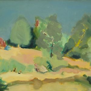 The Diggings
