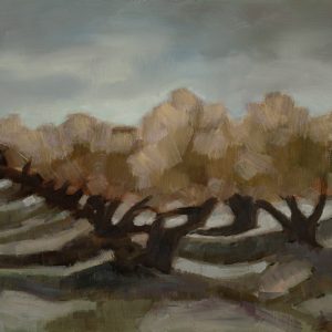 Olive Grove