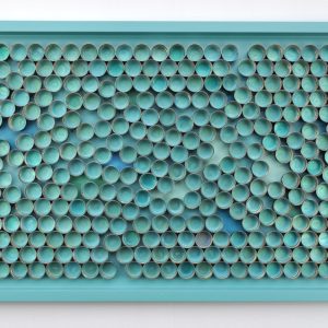 Bottle Caps