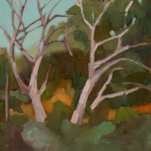 Daylesford Landscape