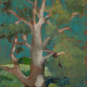 Big Tree
