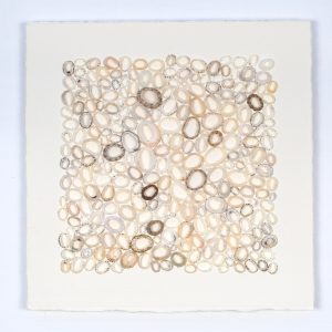 Limpet Shells